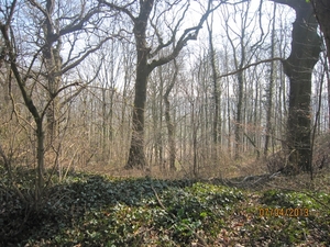 Wandeling in Kanne 7-4-2013 038