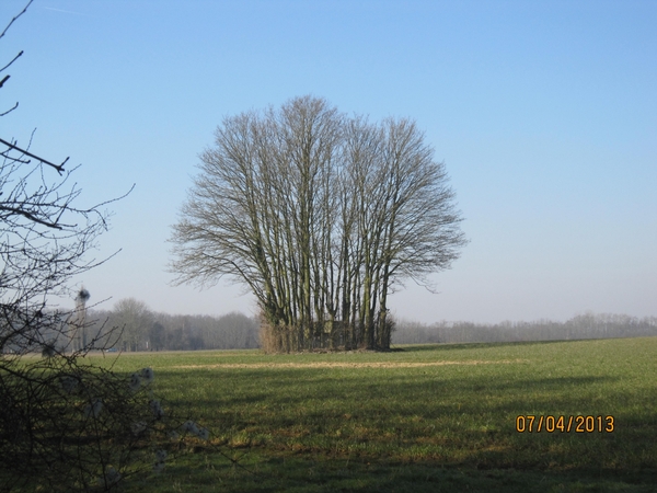 Wandeling in Kanne 7-4-2013 040