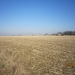 Wandeling in Kanne 7-4-2013 045