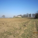Wandeling in Kanne 7-4-2013 049