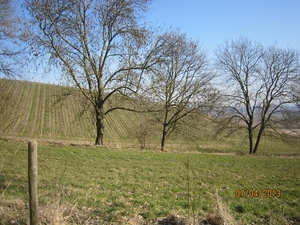 Wandeling in Kanne 7-4-2013 056