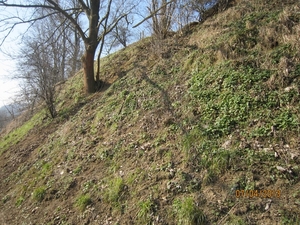 Wandeling in Kanne 7-4-2013 058