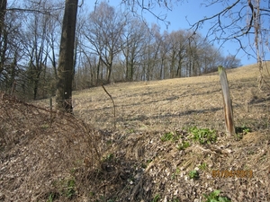 Wandeling in Kanne 7-4-2013 062