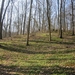 Wandeling in Kanne 7-4-2013 073