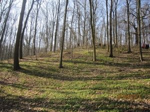 Wandeling in Kanne 7-4-2013 073