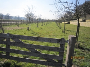 Wandeling in Kanne 7-4-2013 095
