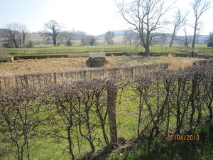 Wandeling in Kanne 7-4-2013 100