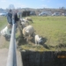 Wandeling in Kanne 7-4-2013 134