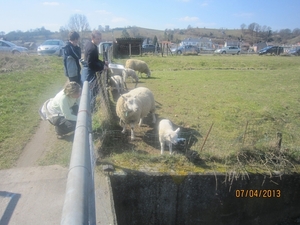 Wandeling in Kanne 7-4-2013 134