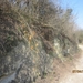 Wandeling in Kanne 7-4-2013 160