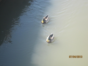 Wandeling in Kanne 7-4-2013 172