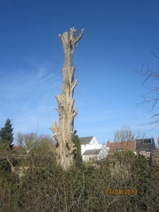 Wandeling in Kanne 7-4-2013 178