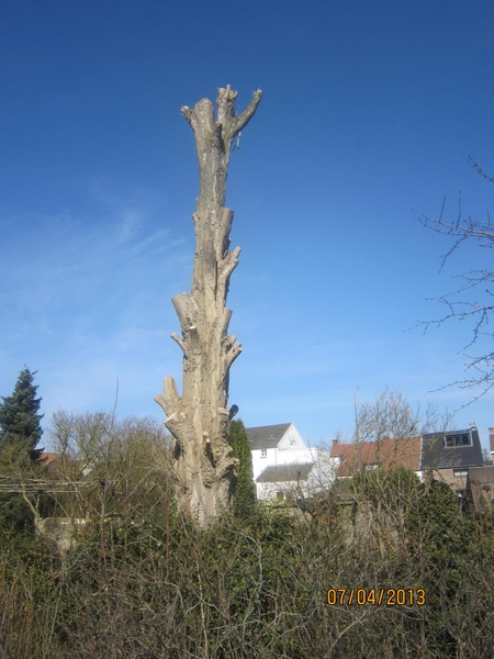 Wandeling in Kanne 7-4-2013 178