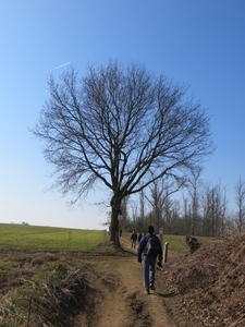 2013-04-07 Nieuwrode 013