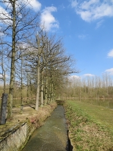 2013-04-07 Nieuwrode 030
