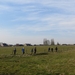 2013-04-08 Woubrechtegem 008