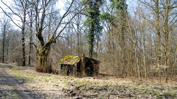 marche adeps petigny