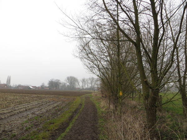 2013-04-10 Baardegem 002