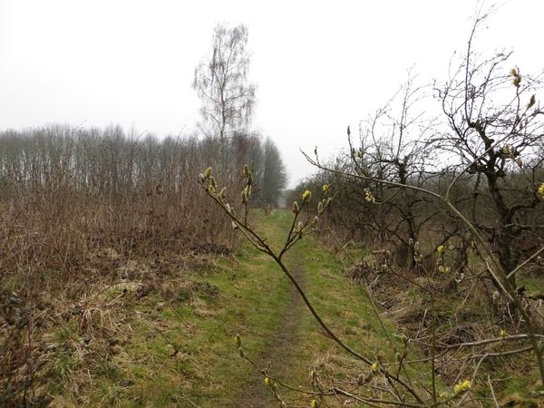 2013-04-10 Baardegem 009