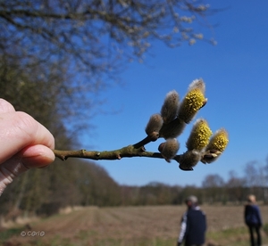 2013-04-02 JanMed Wechelderzande (133)