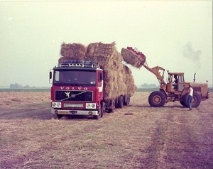 BB-25-NJ   op het land