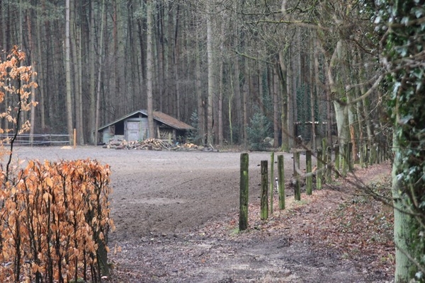 Leopoldsburg - Hasselt