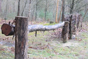 Leopoldsburg - Hasselt