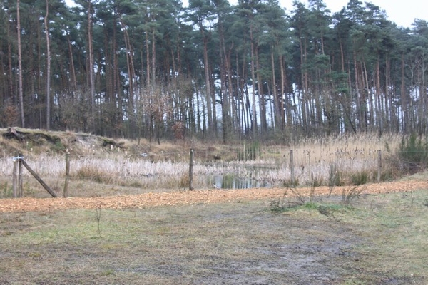 Leopoldsburg - Hasselt