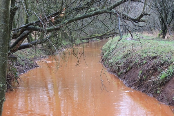 Leopoldsburg - Hasselt
