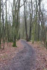 Leopoldsburg - Hasselt