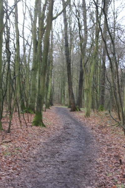 Leopoldsburg - Hasselt