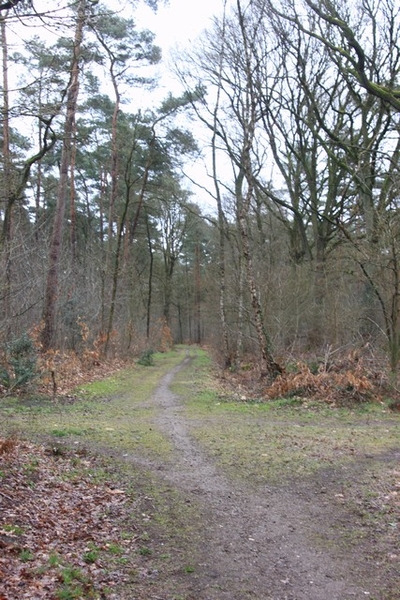 Leopoldsburg - Hasselt