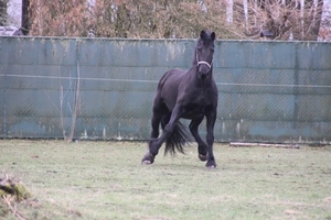 Leopoldsburg - Hasselt