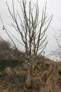 Leopoldsburg - Hasselt