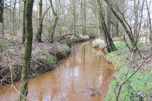 Leopoldsburg - Hasselt