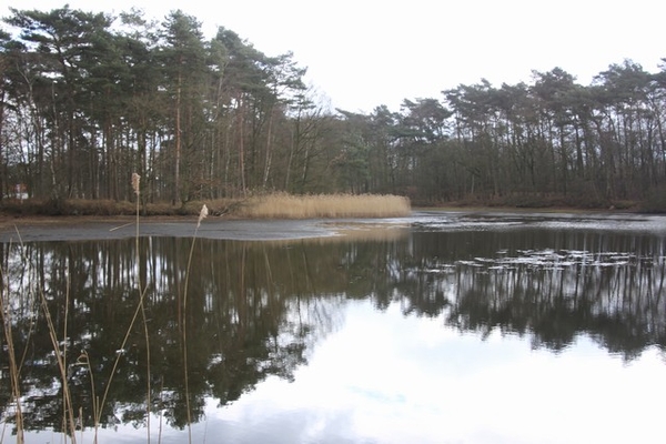 Leopoldsburg - Hasselt