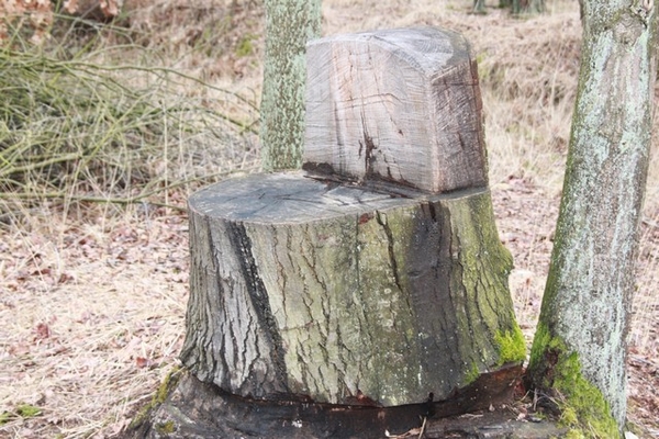 Leopoldsburg - Hasselt