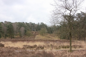 Leopoldsburg - Hasselt