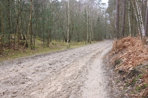 Leopoldsburg - Hasselt