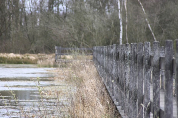 Leopoldsburg - Hasselt