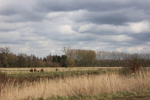 Leopoldsburg - Hasselt