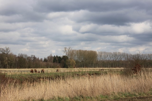 Leopoldsburg - Hasselt