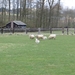 2013-04-13 Affligem (verkenning 1) 013