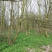 2013-04-14 Melsbroek 002