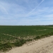 2013-04-14 Melsbroek 028