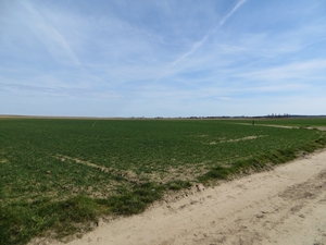 2013-04-14 Melsbroek 028