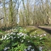 2013-04-14 Melsbroek 029