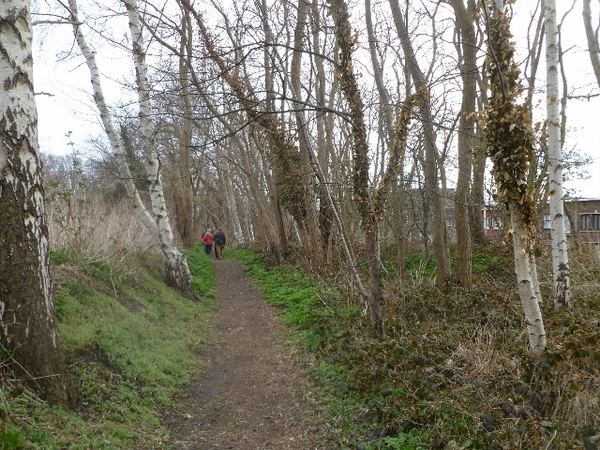 P1070587(1) (640x480)