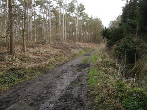Belsele April 2013 001