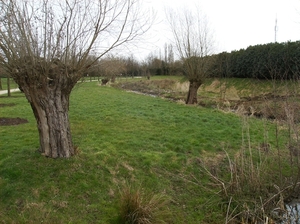Belsele April 2013 018